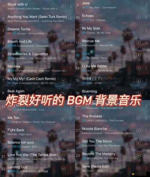 BGMBGMBGM 成熟交：探索独特的音乐魅力与情感表达